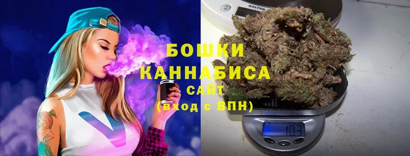 Шишки марихуана OG Kush  дарнет шоп  Ставрополь 